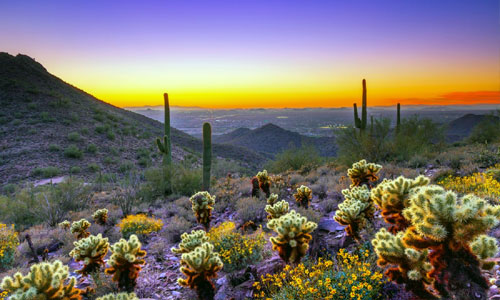 Scottsdale